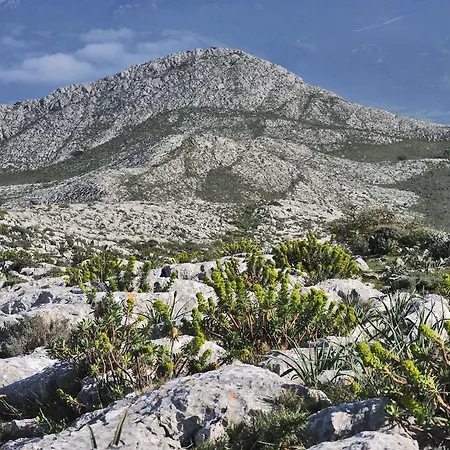 Bauernhof Punta Lizzu Siniscola